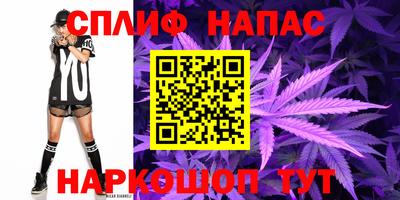 ешки Сланцы