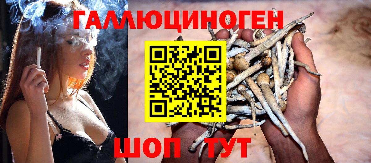 Галлюциногенные грибы Cubensis  Вход с VPN  Осинники 